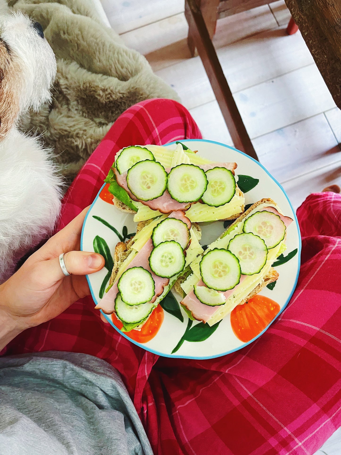 Orange Plate Blue 22cm