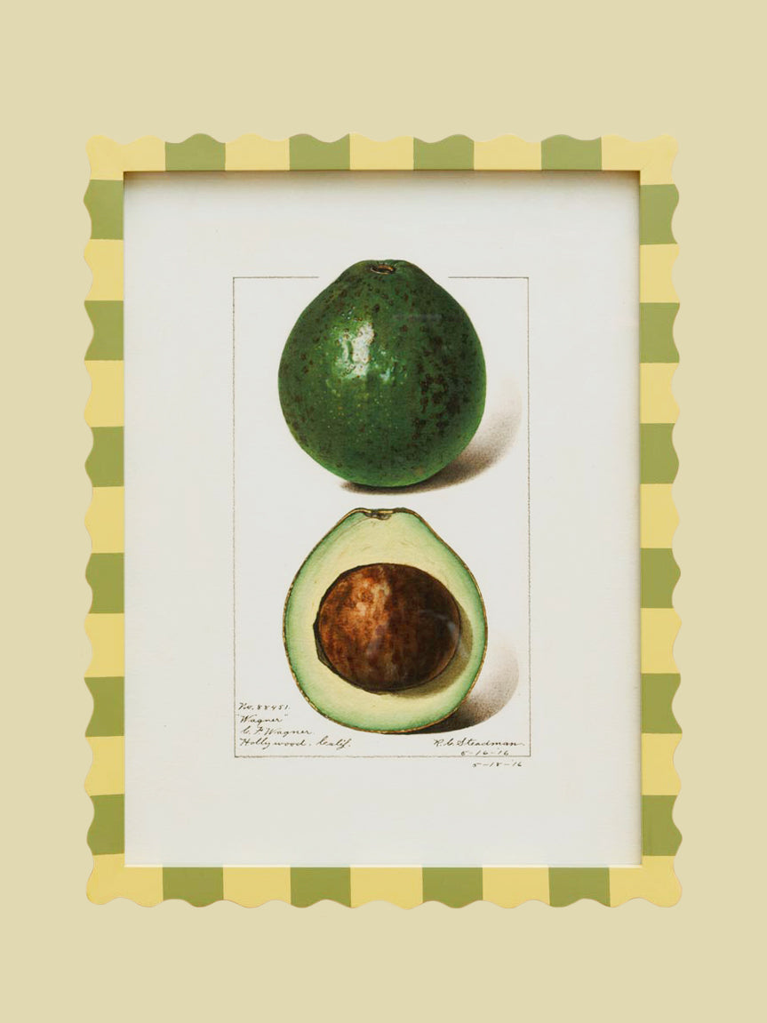 Scallop Avocado Print Frame 52cm