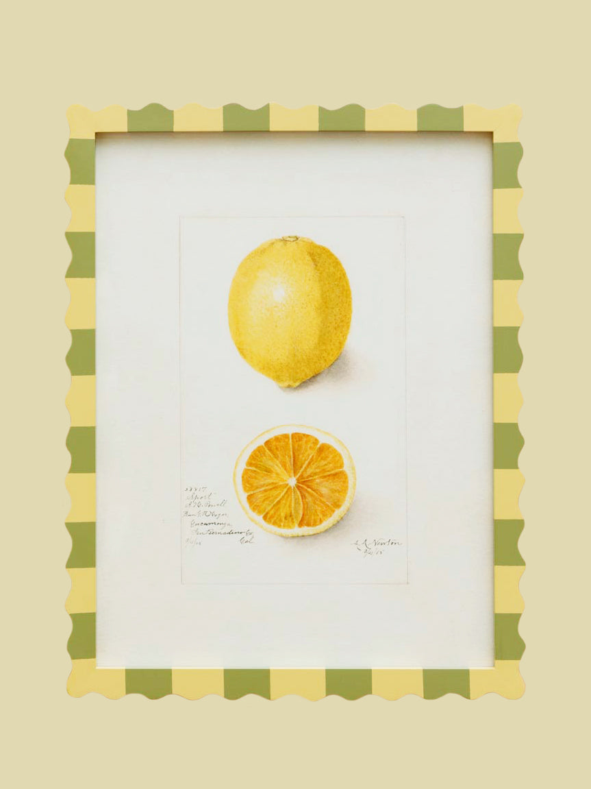 Scallop Lemon Print Frame 52cm