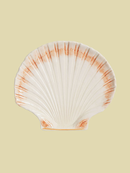 Plate Shell 23cm