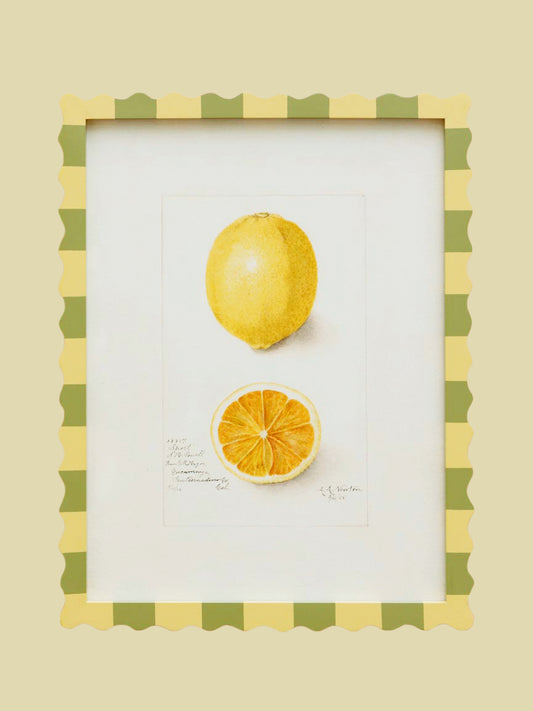 Tavla Citron 52cm (Kommer snart)